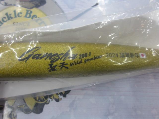 ガネーシャ聖天230F