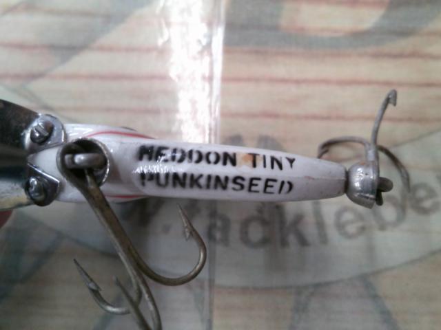 ﾀｲﾆｰﾊﾟﾝｷﾝｼｰﾄﾞ