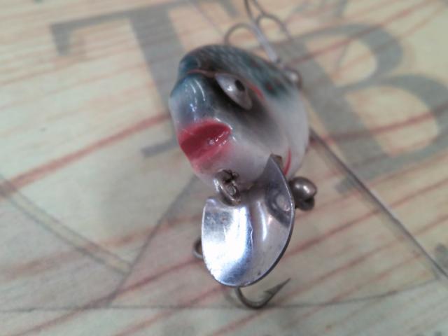 ﾀｲﾆｰﾊﾟﾝｷﾝｼｰﾄﾞ