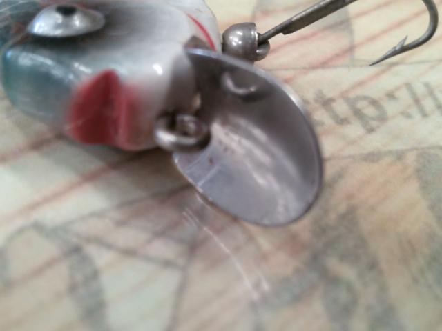 ﾀｲﾆｰﾊﾟﾝｷﾝｼｰﾄﾞ