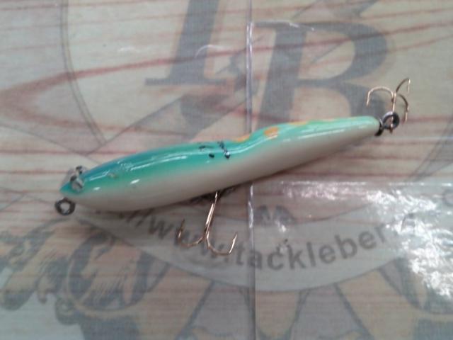 ハトリーズ マダガスカル トカゲ