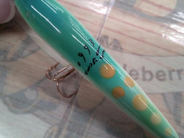 ハトリーズ マダガスカル トカゲ