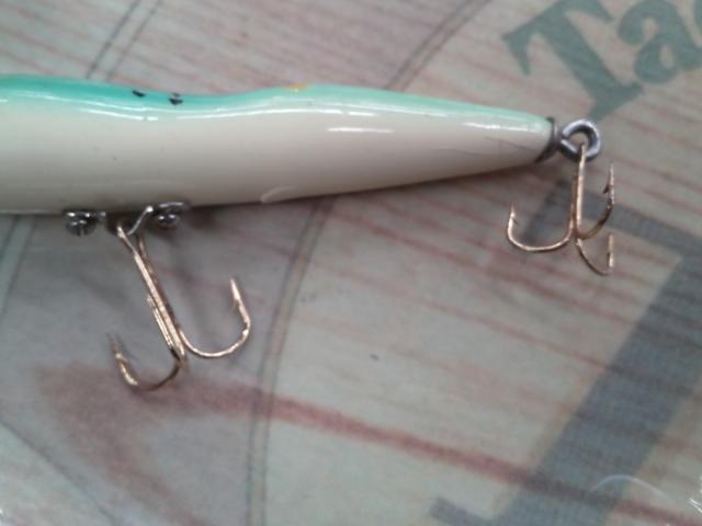 ハトリーズ マダガスカル トカゲ