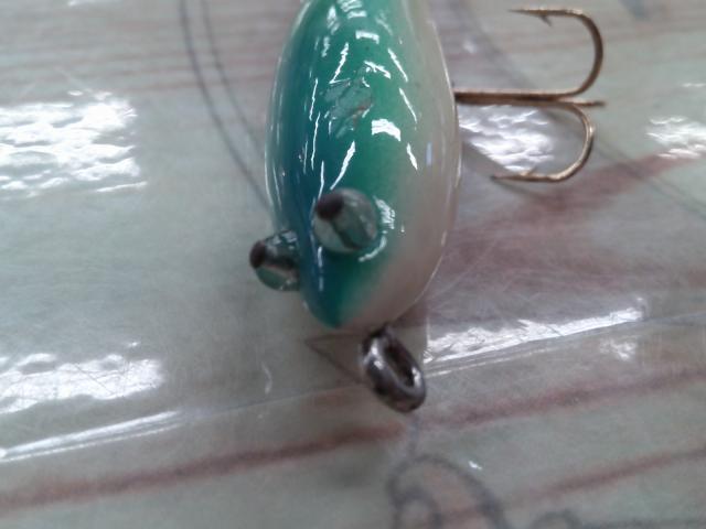 ハトリーズ マダガスカル トカゲ