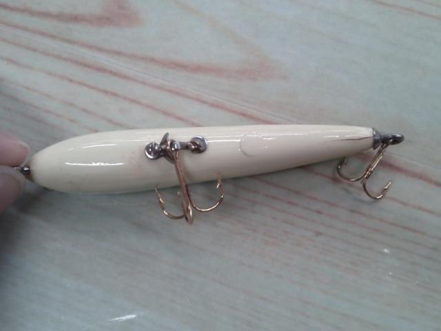 ハトリーズ マダガスカル トカゲ