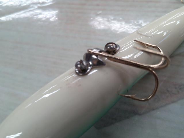 ハトリーズ マダガスカル トカゲ