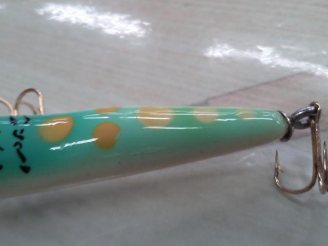 ハトリーズ マダガスカル トカゲ