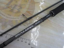 21ﾃﾞｨｱﾙｰﾅBS S66ML