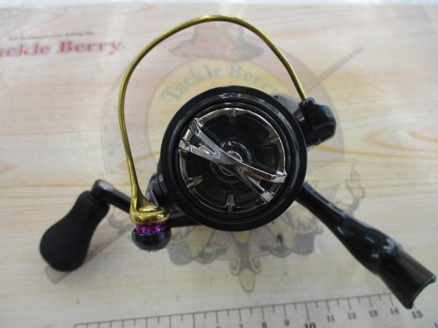 17ヴァンキッシュFWチューン 1000S