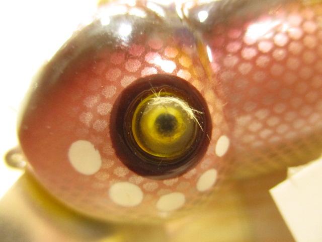 ウォッシャー#616カワムツ