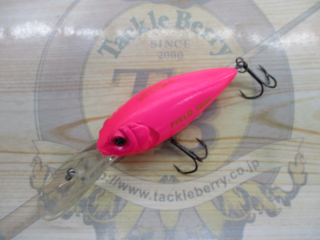 2009Deep-X300 prototype