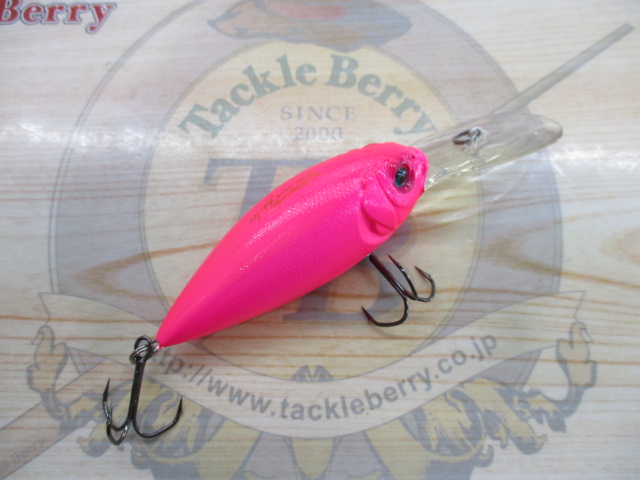 2009Deep-X300 prototype