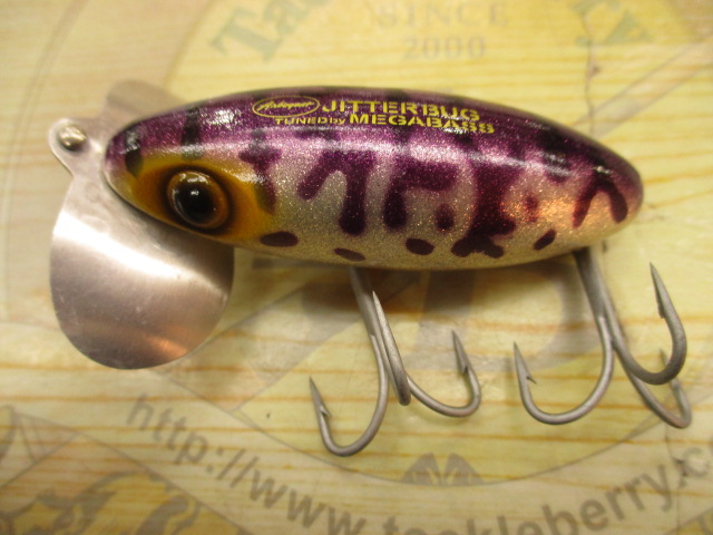 【セット商品】ノイジータイプ5点セット