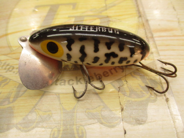 【セット商品】ノイジータイプ5点セット