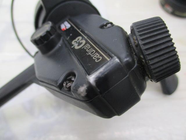 ｶｰﾃﾞｨﾅﾙ C3