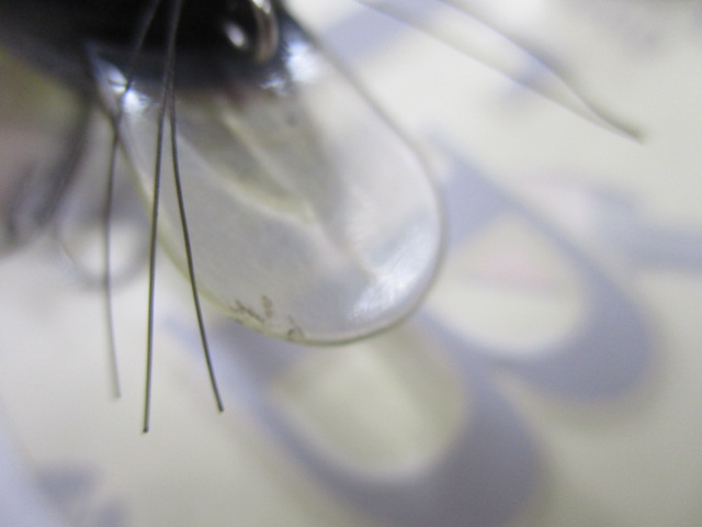 【ｾｯﾄ商品】『ZEAL』ｱﾗｲくん3点ｾｯﾄ