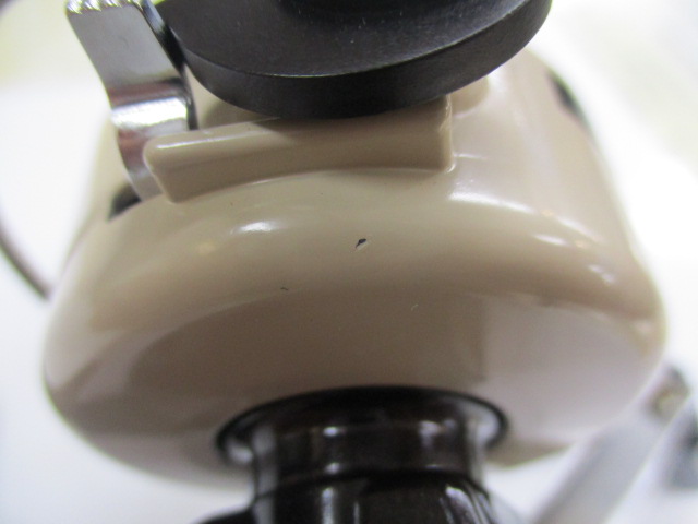 ｶｰﾃﾞｨﾅﾙ 33X ﾀﾝ/ﾌﾞﾗｳﾝ DAYSPROUT別注