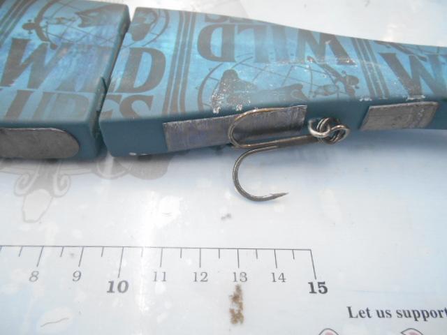 ﾜｲﾙﾄﾞﾋﾞｰﾄF#ｱｲｱﾝﾌﾞﾙｰ