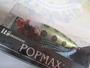 【ｾｯﾄ商品】POPMAX 唐獅子　ｾｯﾄ