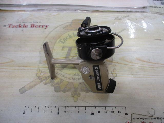 ｶｰﾃﾞｨﾅﾙ3