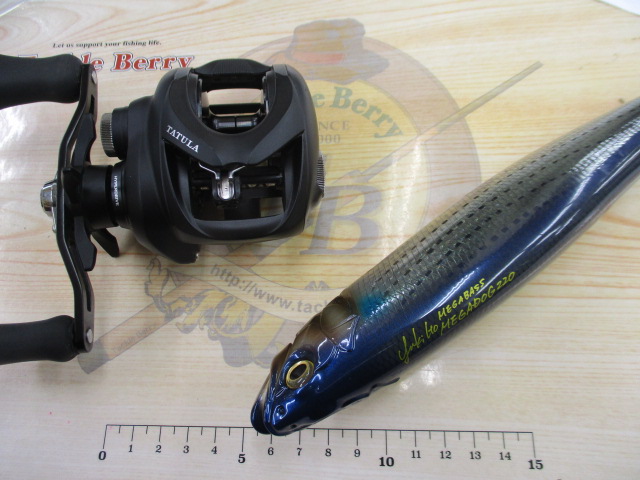 【ｾｯﾄ商品】♪ﾀﾄｩｰﾗ200ﾎﾞｰﾄｼｰﾊﾞｽｾｯﾄ♪