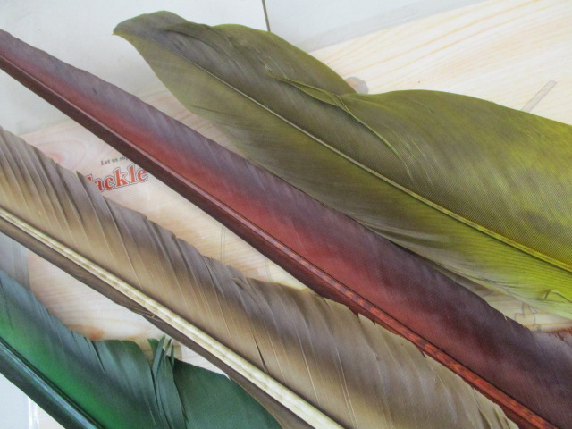 ﾌﾗｲﾏﾃﾘｱﾙｾｯﾄ(大羽)