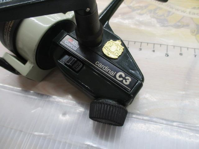 ｶｰﾃﾞｨﾅﾙ C3