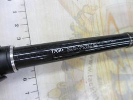 18ﾎﾟｲｽﾞﾝｸﾞﾛﾘｱｽ 170H+