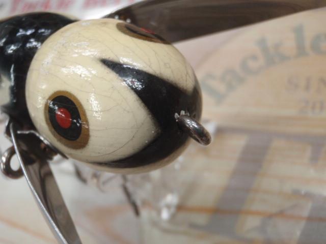 クレイジークローラー