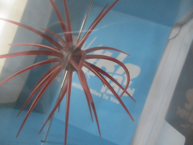 【セット商品】コイケ5点セット