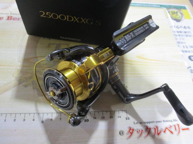 21BB-Xﾃｸﾆｳﾑ 2500DXXG S LEFT