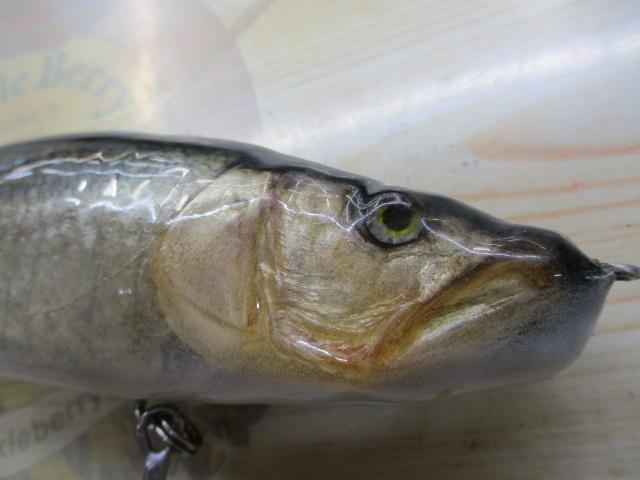 ﾋﾞｯｸﾍﾞｲﾄ