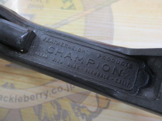 ﾁｬﾝﾋﾟｵﾝｸﾞﾘｯﾌﾟ