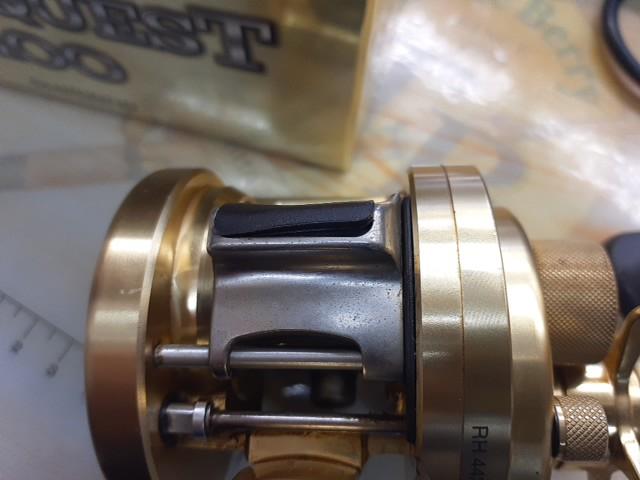 01カルカッタコンクエスト 100