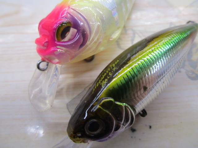 【ｾｯﾄ商品】ﾒｶﾞﾊﾞｽﾙｱｰｾｯﾄ