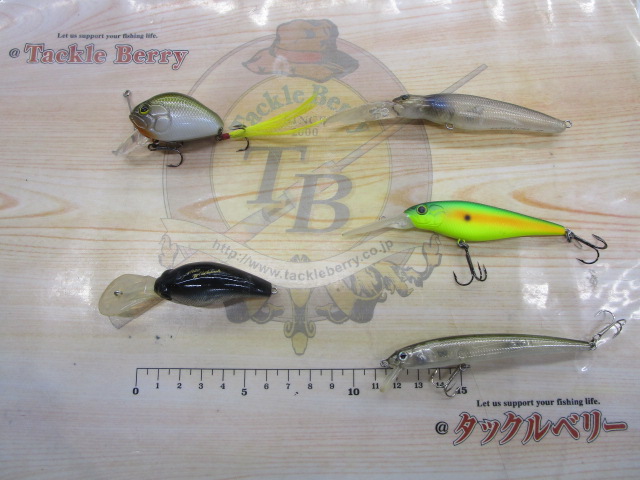 【セット商品】エバーグリーンルアーセット