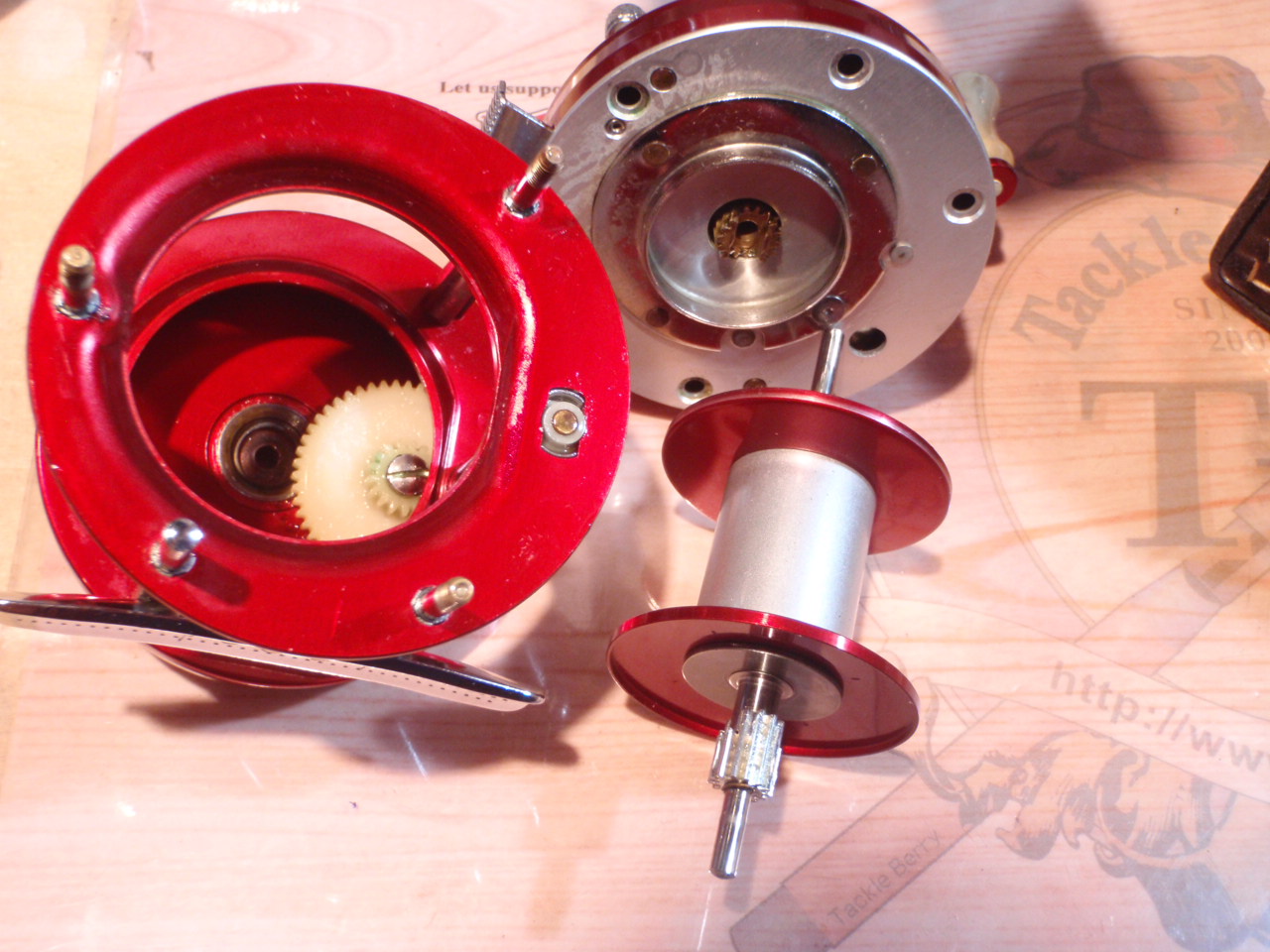 ｱﾝﾊﾞｻﾀﾞｰ 5000ﾚｯﾄﾞ