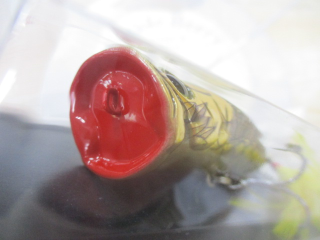 ﾊﾟﾙｽｺｯﾄﾞ　金しゃちほこｶﾗｰ