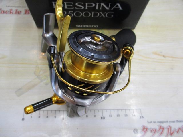 16BB-Xﾃﾞｽﾋﾟﾅ 2500DXG