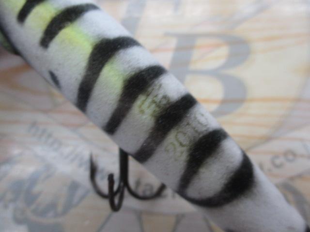 ﾏｸﾞﾅﾑﾀｲｶﾞｰ