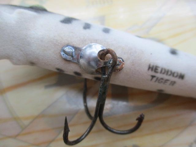 ﾏｸﾞﾅﾑﾀｲｶﾞｰ