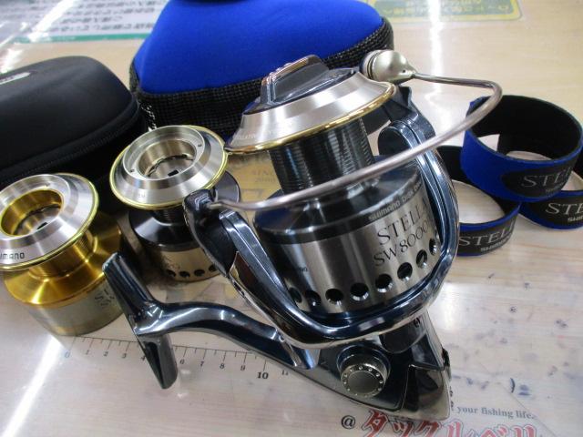 01ｽﾃﾗSW 8000PG