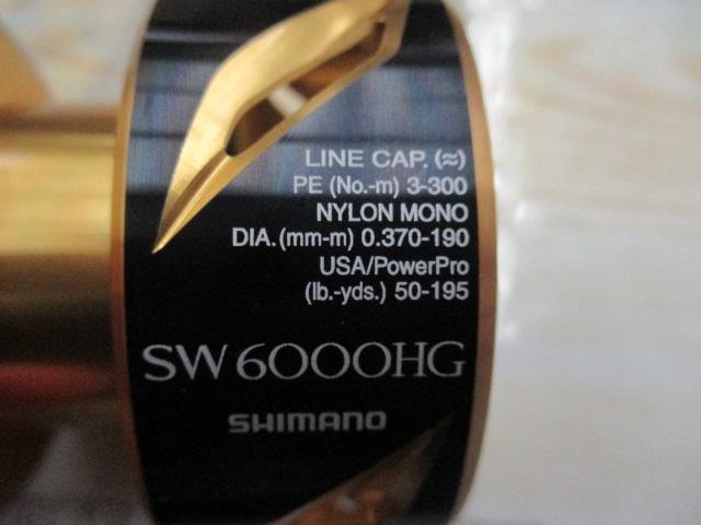 20ｽﾃﾗSW6000HGｽﾌﾟｰﾙ