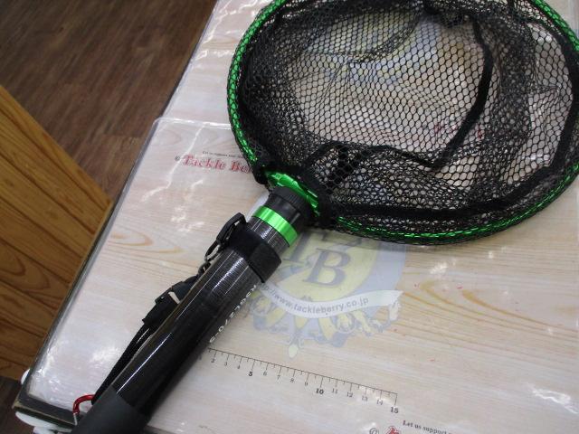 ﾚｲﾝｽﾞﾗﾝﾃﾞｨﾝｸﾞﾈｯﾄ(30cm枠) ｸﾞﾘｰﾝ