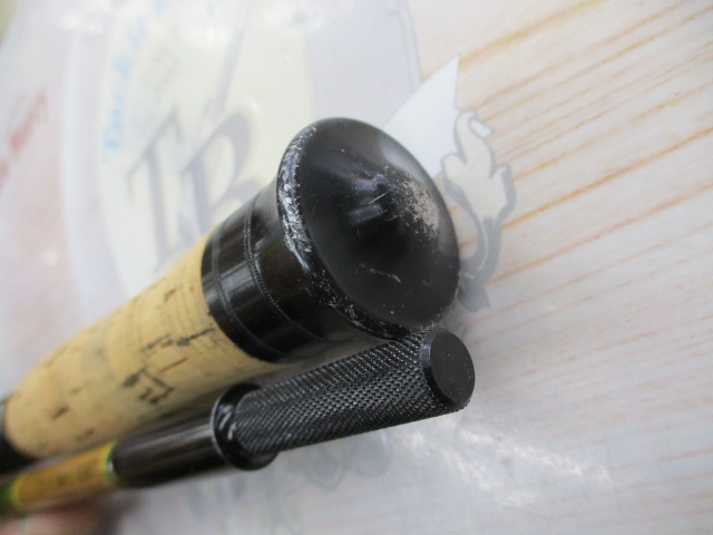 ザウルスブランクス