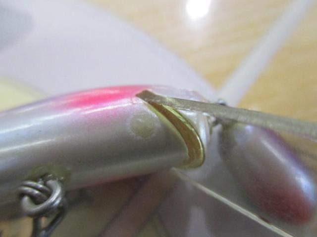 ｼﾞｸﾞﾐﾉﾄﾞﾝ