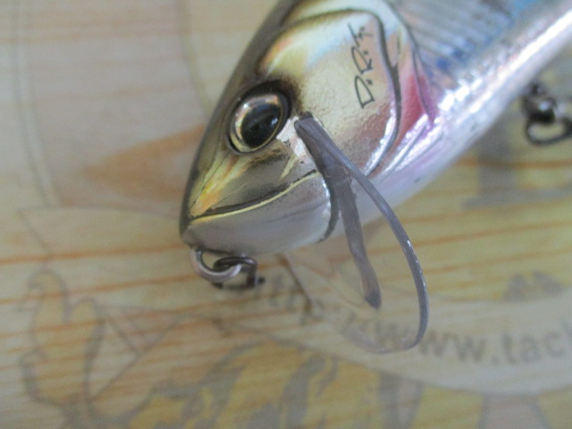 ﾀｲﾆｰｸﾗｯｼｭ