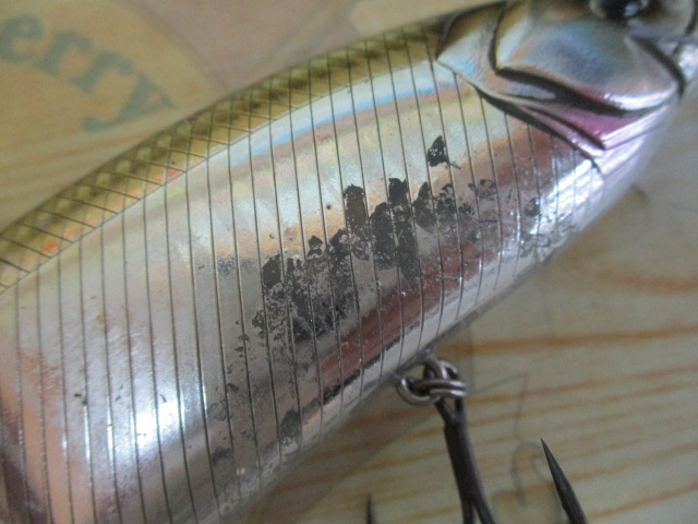 ﾀｲﾆｰｸﾗｯｼｭ