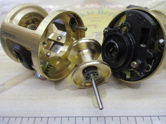 カルカッタチヌ 1001