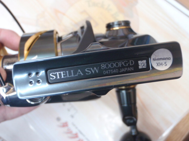 25ｽﾃﾗSW 8000PG